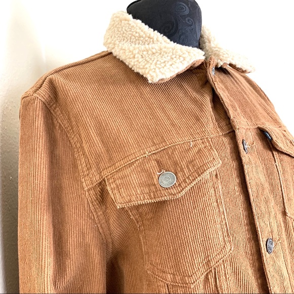aeropostale brown jacket Corduroy Medium - Picture 6 of 8